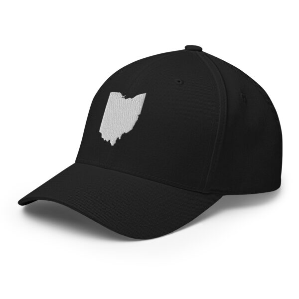 Ohio Fitted Cap - Image 16