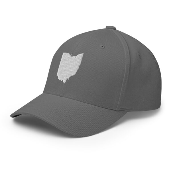 Ohio Fitted Cap - Image 40